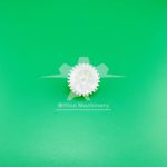 دنده فابریک /چرخ دنده فابریک یونیت درام ریکو آفیشو  2015/2018/1015/MP 1600/MP 1900/MP 2000/MP 2501/MP 2001